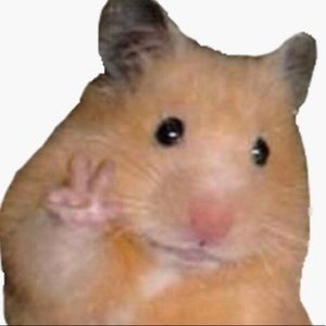 Meet your Posher, Ariel